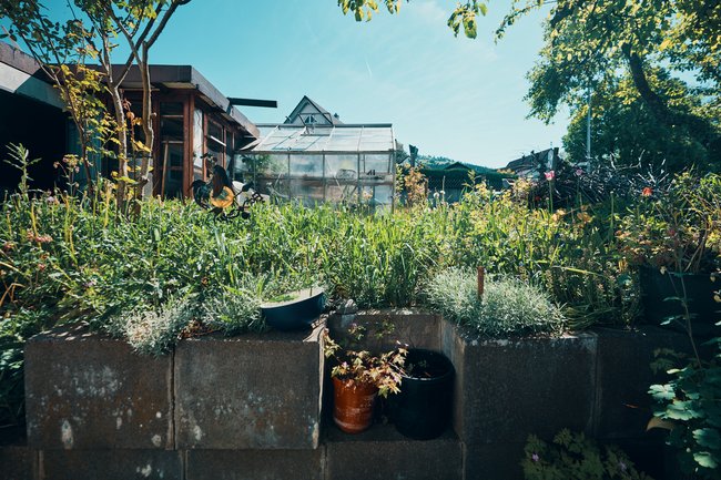 Gartenbereich Gartenbereich
