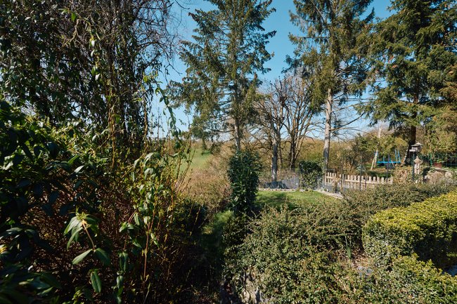 Garten, Ausblick Garten, Ausblick