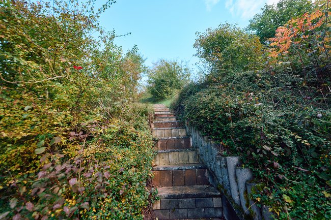 Rückwärtiger Gartenbereich Rückwärtiger Gartenbereich