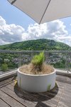 Ihr neuer Lieblingsplatz: Die Dachterrasse 
