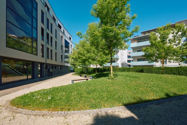Detailansicht Weg und Innenhof Detailansicht Weg und Innenhof