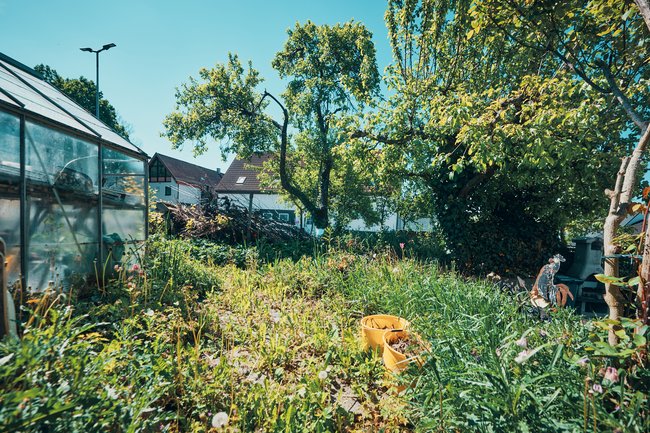 Gartenbereich Gartenbereich