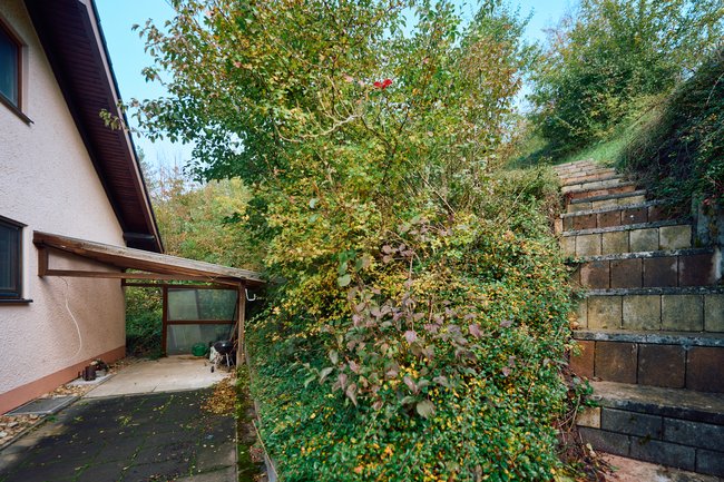 Terrasse und rückwärtiger Gartenbereich Terrasse und rückwärtiger Gartenbereich