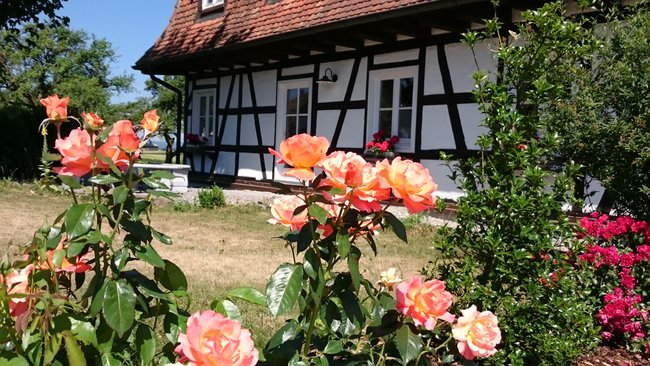 Objektansicht mit Rosengarten 