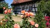 Objektansicht mit Rosengarten 
