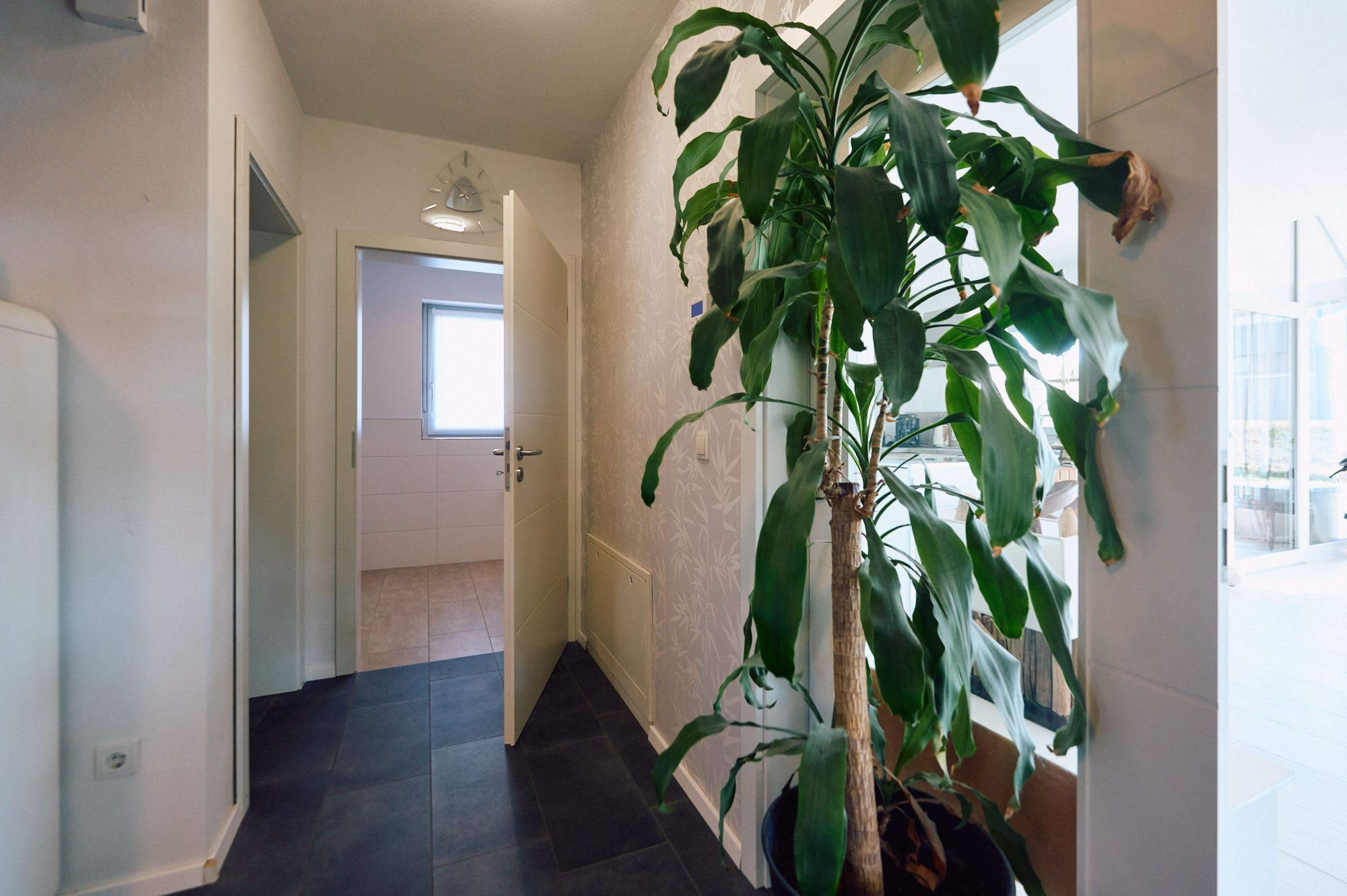 Erdgeschoss, Flur zum Badezimmer