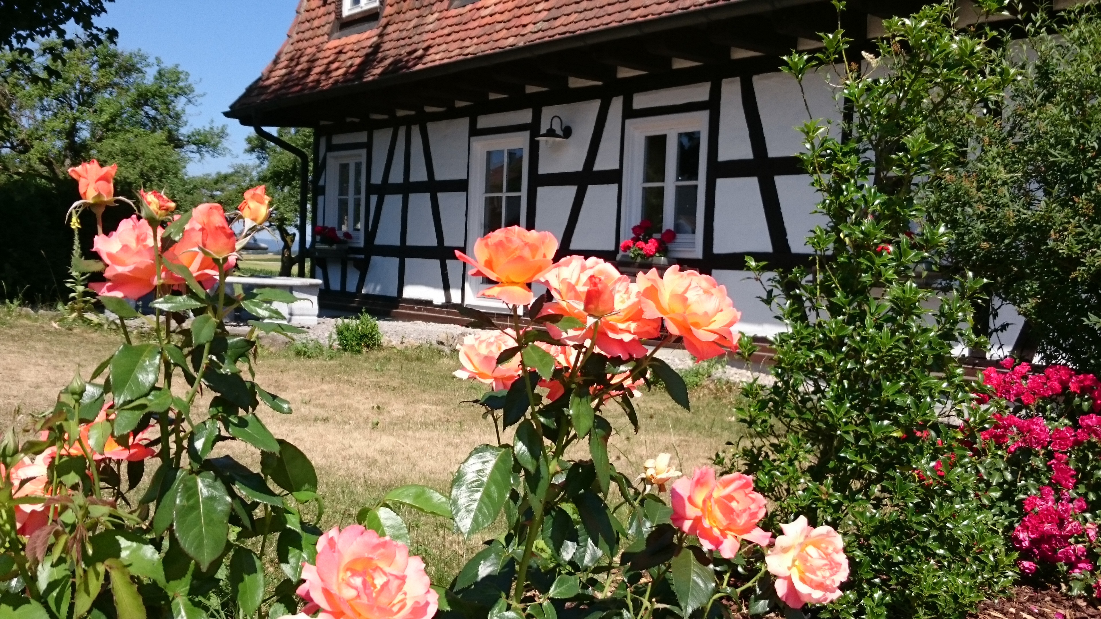 Objektansicht mit Rosengarten 