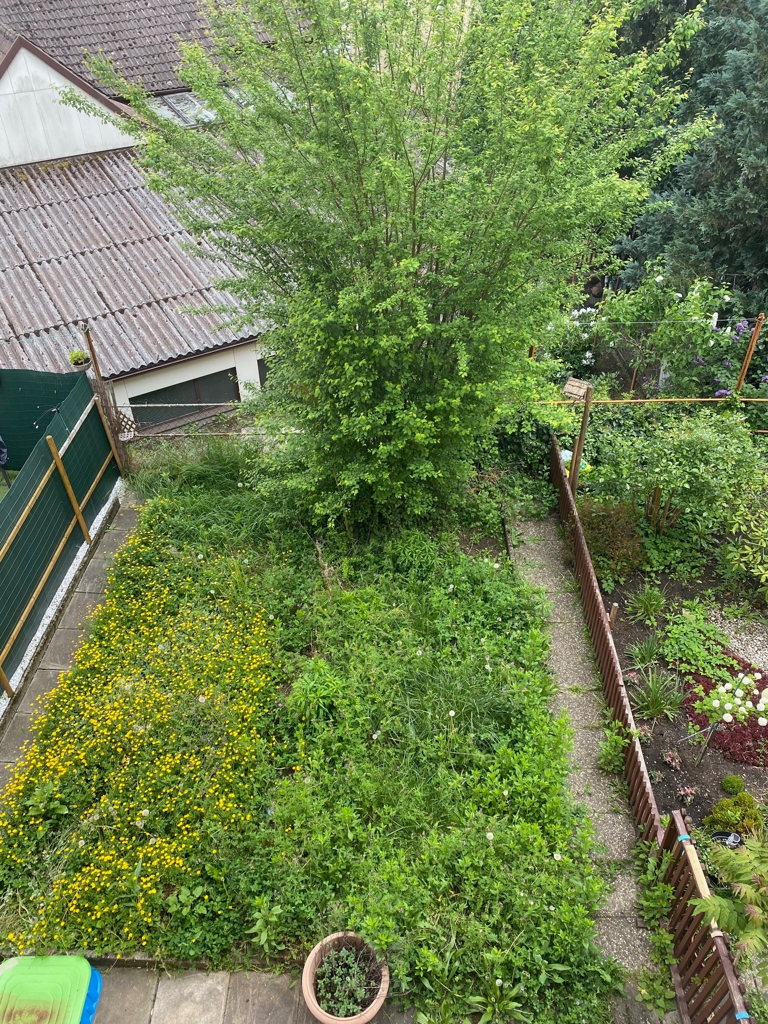 Gartenanteil zur Wohnung